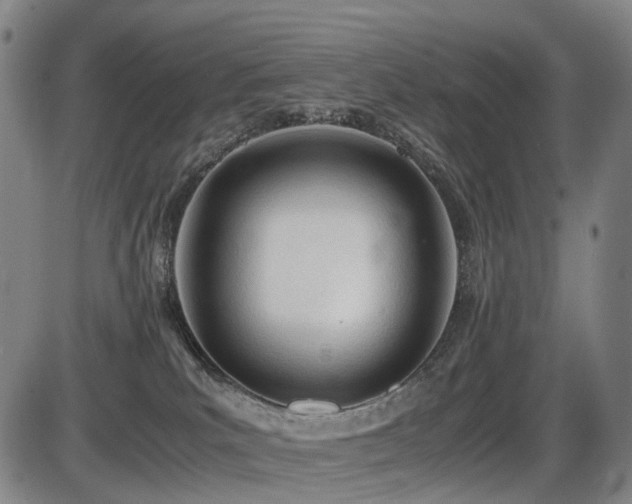 X0000086330039200703301241