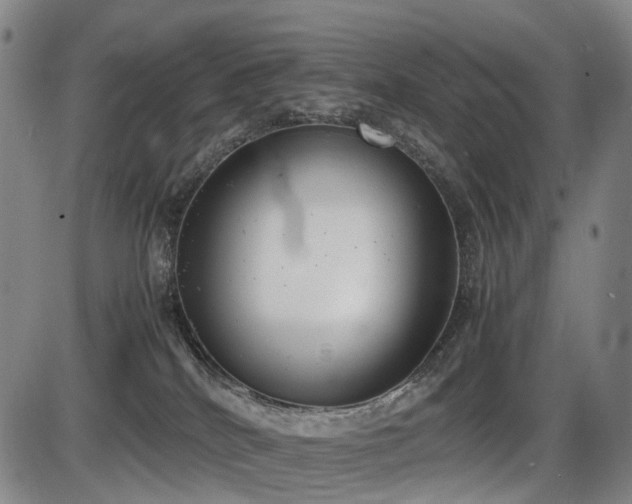 X0000086330040200703301241