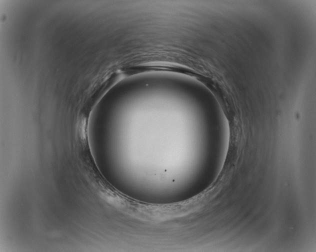X0000086330041200703301241