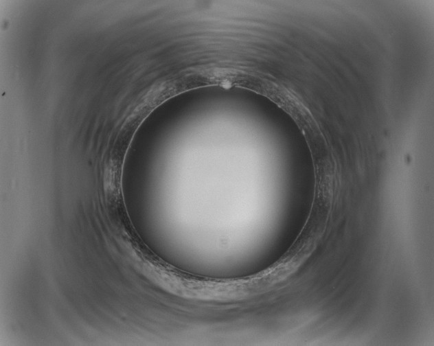 X0000086330044200703301241