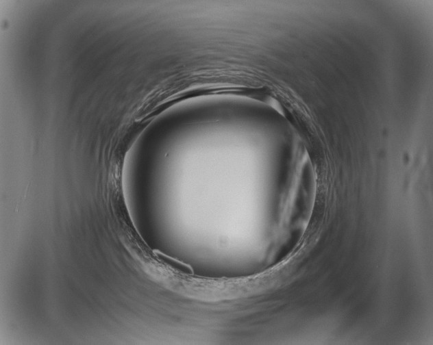 X0000086330045200703301241