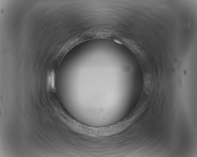 X0000086330046200703301241