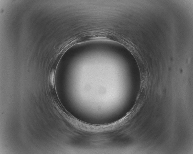 X0000086330047200703301241