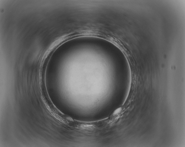X0000086330055200703301240