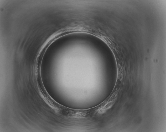 X0000086330056200703301240