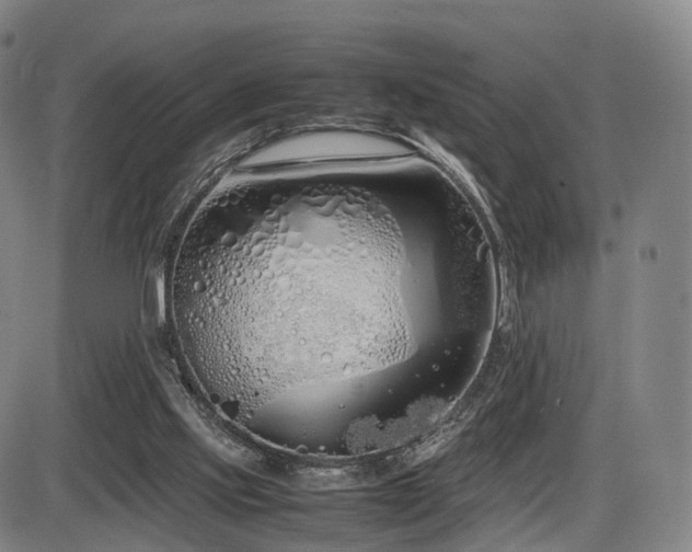 X0000086330061200703301240