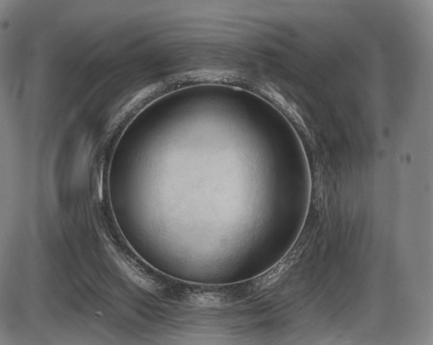 X0000086330062200703301240
