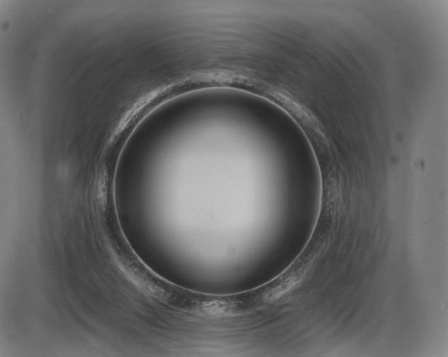 X0000086330064200703301240