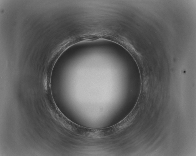 X0000086330068200703301240