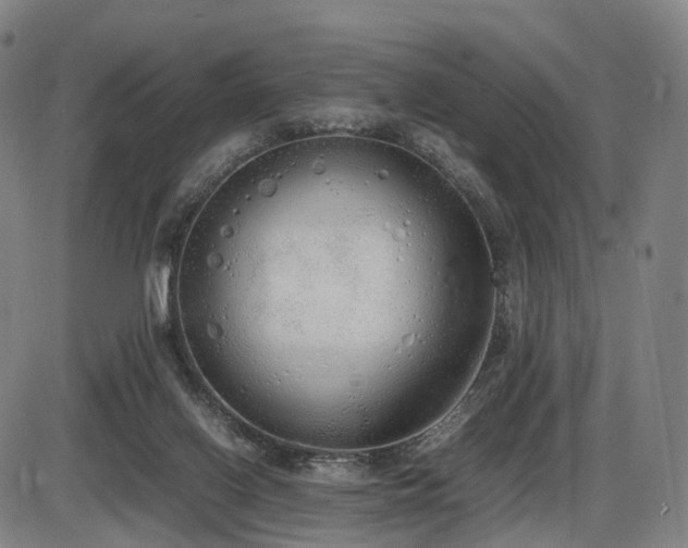 X0000086330070200703301240