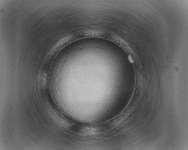 X0000086330071200703301241