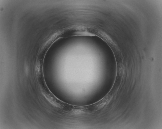 X0000086330072200703301241