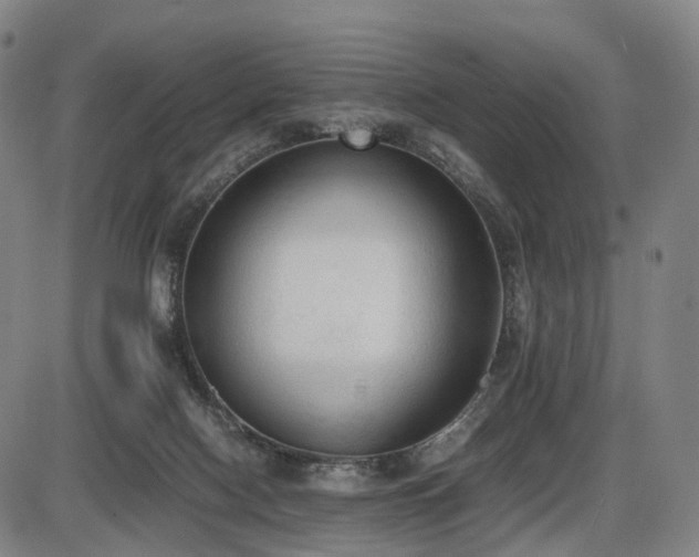 X0000086330074200703301241