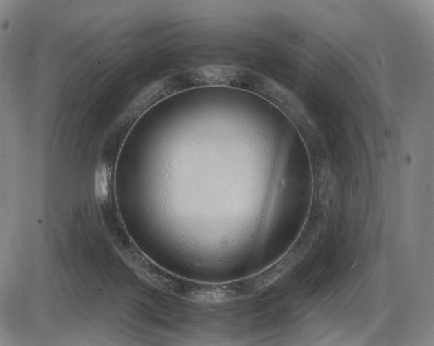 X0000086330075200703301241