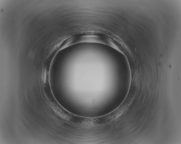X0000086330076200703301241