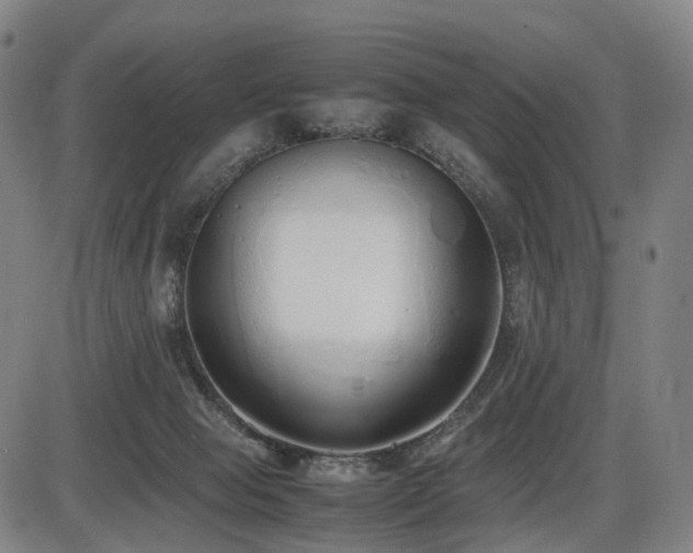 X0000086330077200703301241