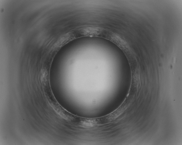 X0000086330079200703301241
