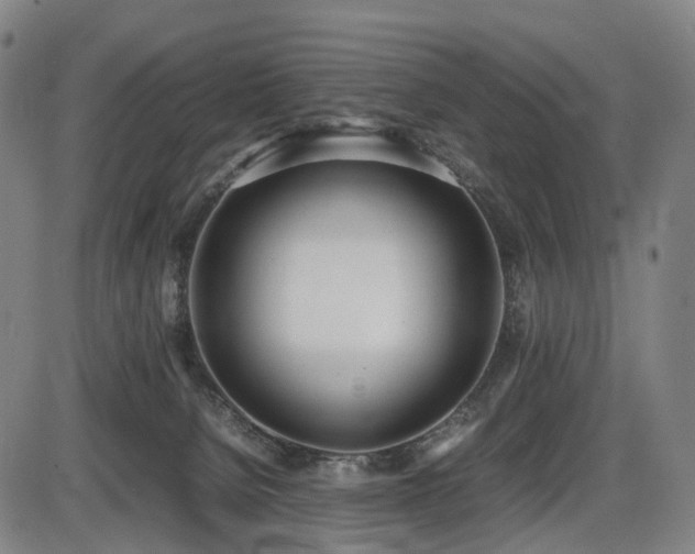 X0000086330080200703301241
