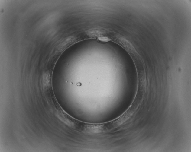 X0000086330081200703301241