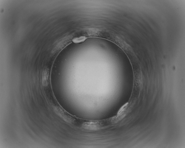 X0000086330082200703301241