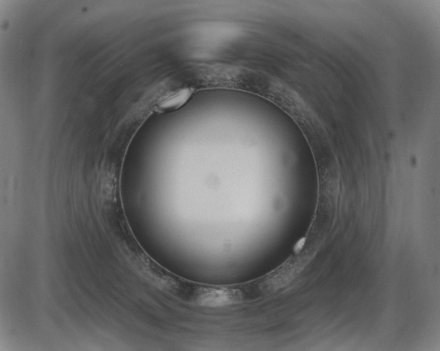 X0000086330083200703301241