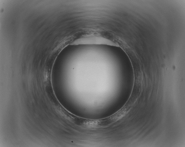 X0000086330084200703301241