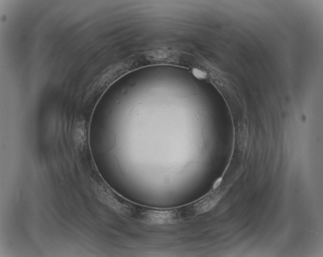 X0000086330085200703301241