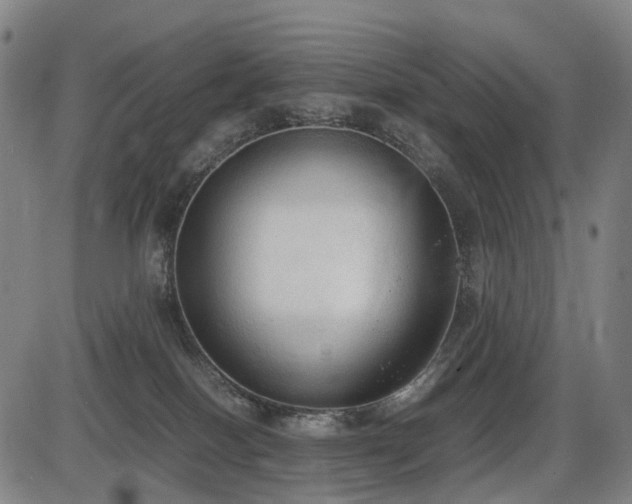 X0000086330086200703301241