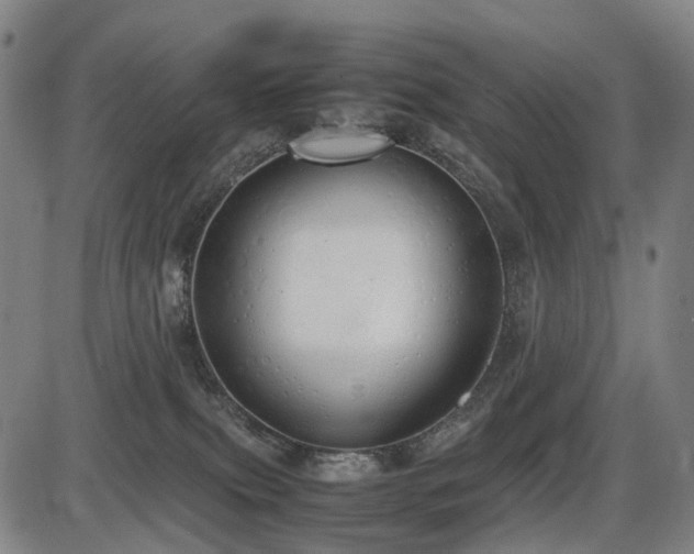 X0000086330087200703301241