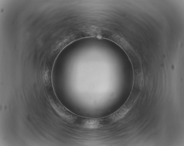 X0000086330088200703301241