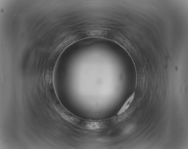 X0000086330091200703301241