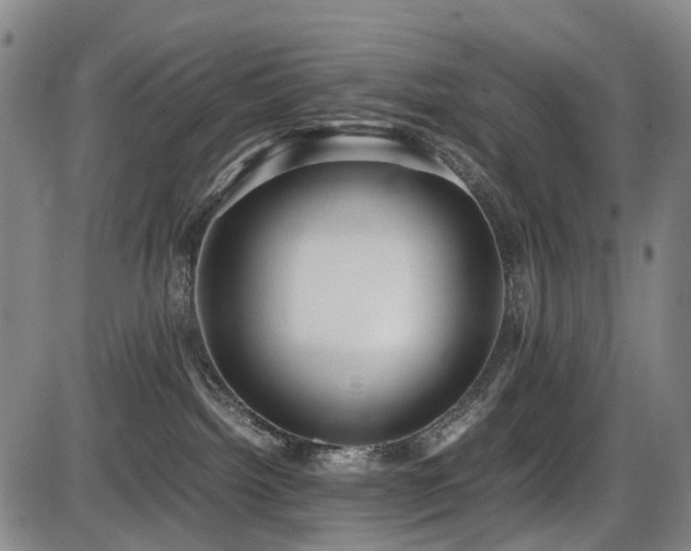 X0000086330092200703301241