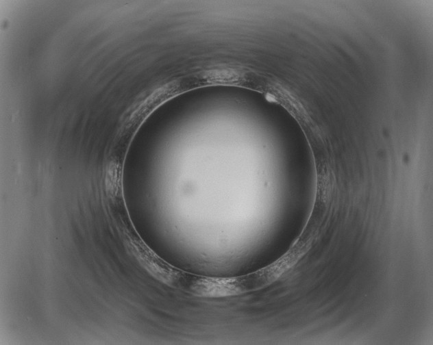 X0000086330093200703301241