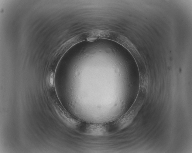 X0000086330095200703301241