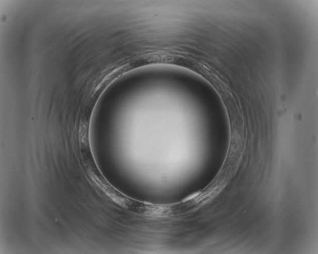 X0000086330096200703301241
