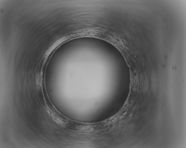 X0000086330100200703301240