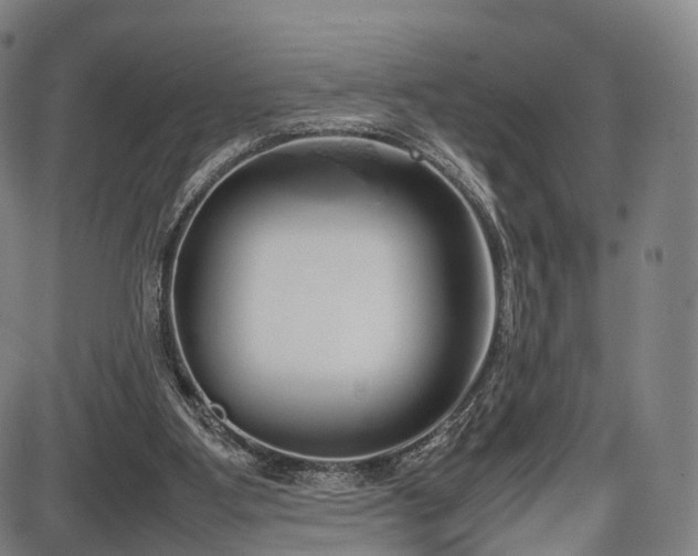 X0000086330107200703301240