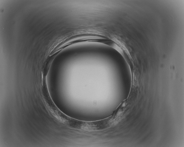 X0000086330109200703301240