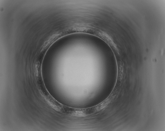 X0000086330114200703301240