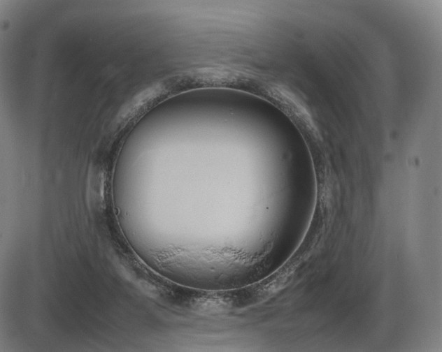 X0000086330115200703301240