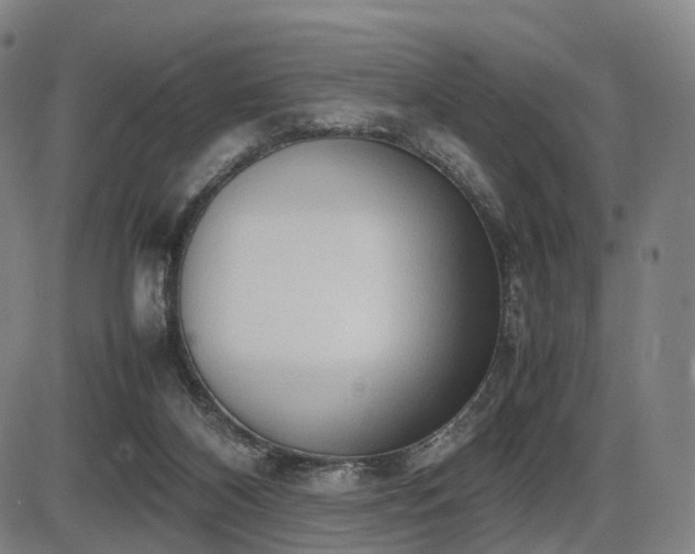 X0000086330116200703301240
