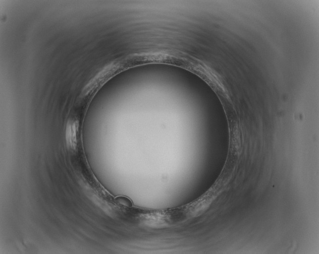 X0000086330118200703301240