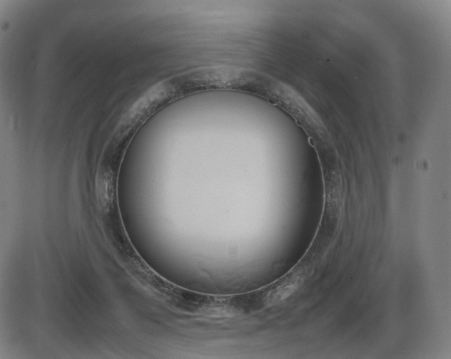 X0000086330119200703301240