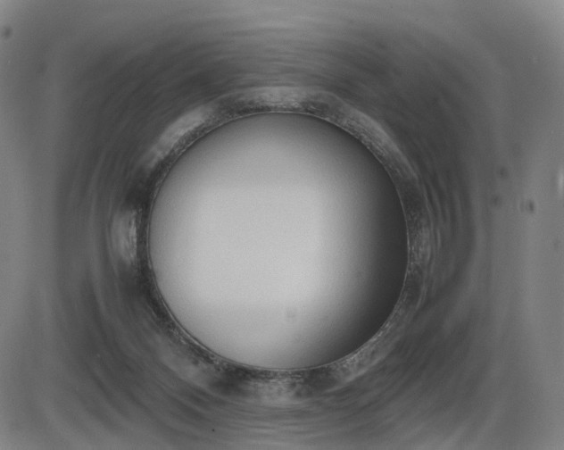 X0000086330120200703301240