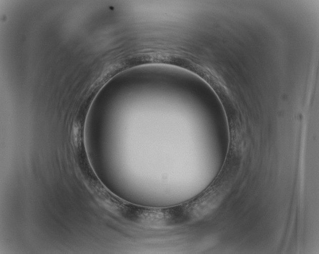 X0000086330123200703301240