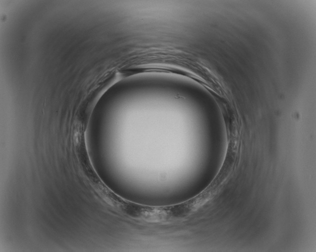 X0000086330125200703301240