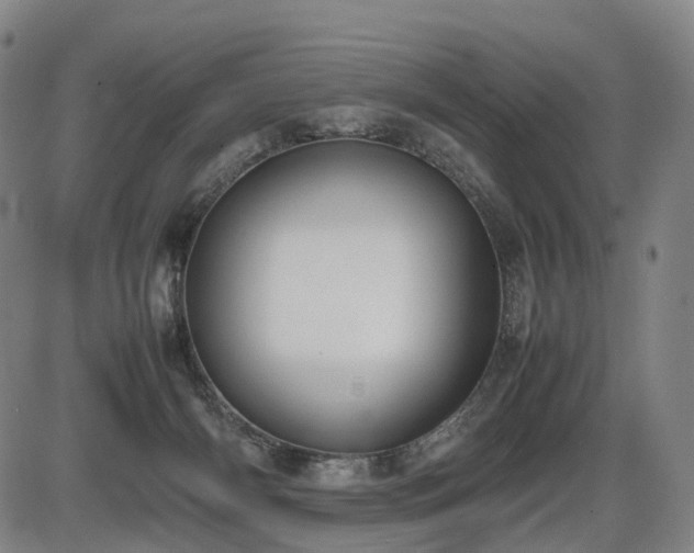 X0000086330126200703301240