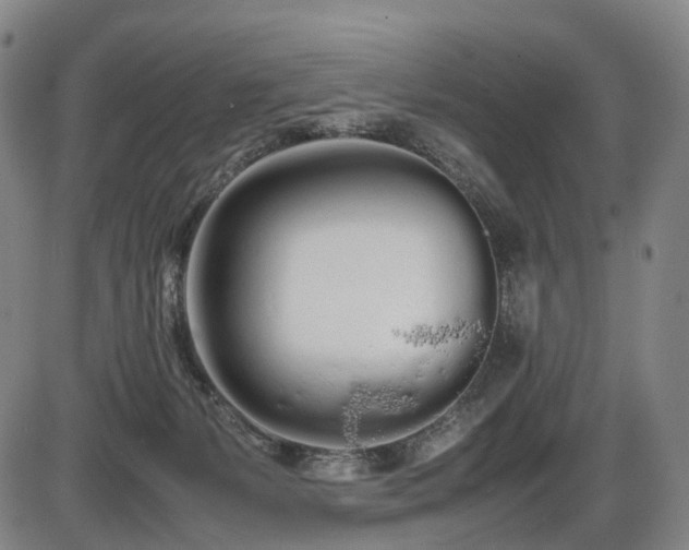 X0000086330127200703301240