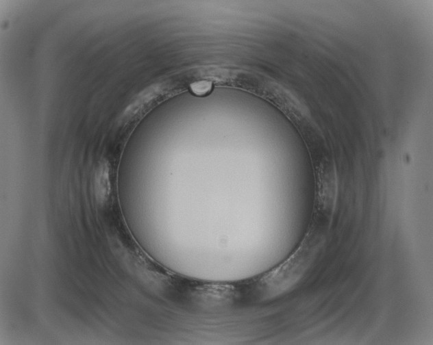 X0000086330128200703301240
