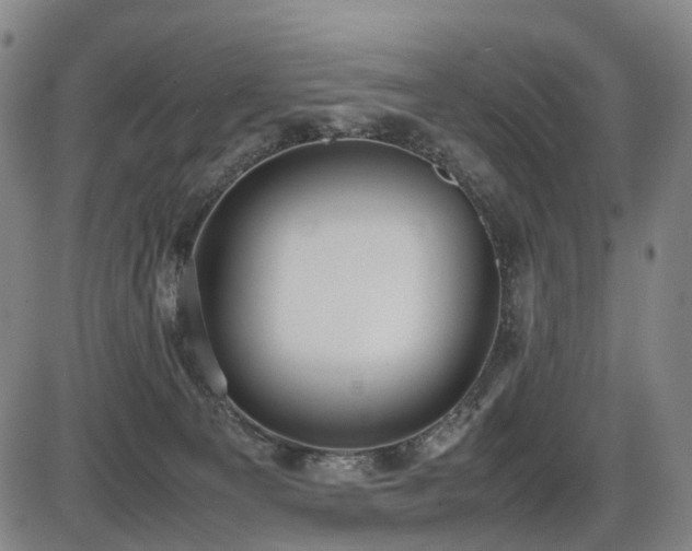X0000086330129200703301240